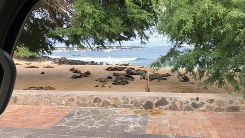 Hostal Albatros San Cristóbal 外观 照片