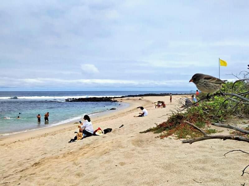 Hostal Albatros San Cristóbal 外观 照片